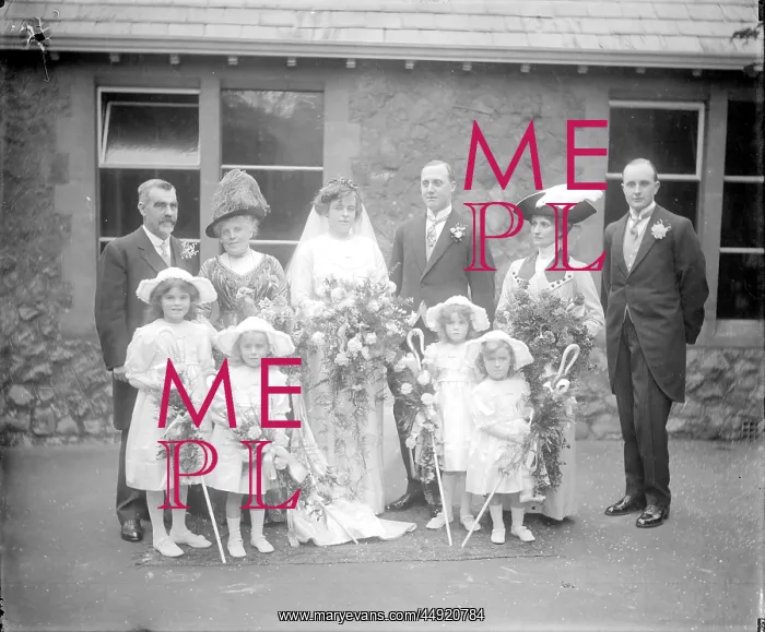 : Family Wedding Portrait : Family Wedding Portrait