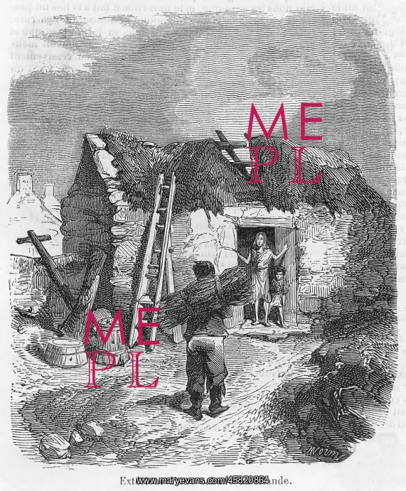 : FAMINE DISTRESS : FAMINE DISTRESS