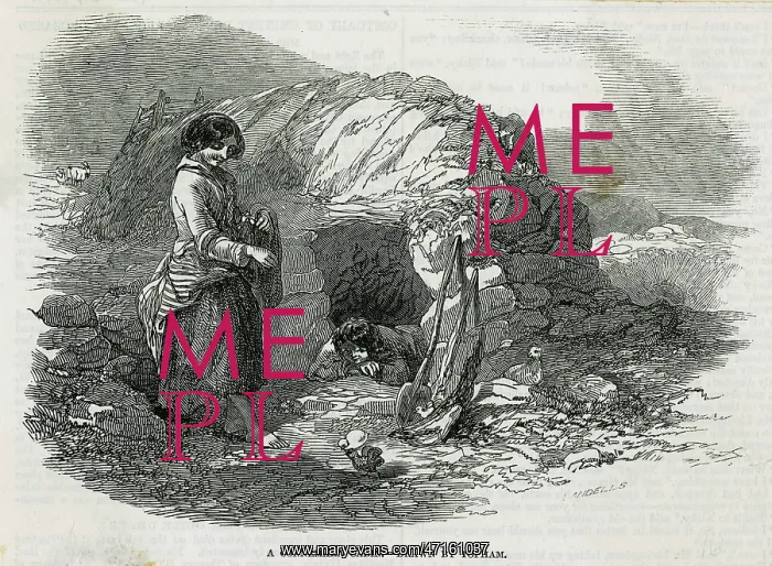 : FAMINE DISTRESS : FAMINE DISTRESS