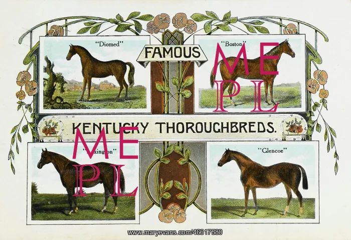 : Four famous Kentucky Thoroughbreds : Four famous Kentucky Thoroughbreds