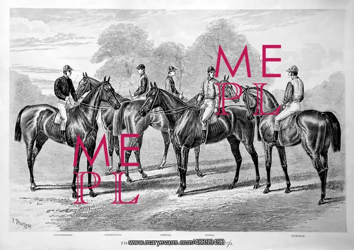 : Five famous three-year-old racehorses of 1876 : Five famous three-year-old racehorses of 1876