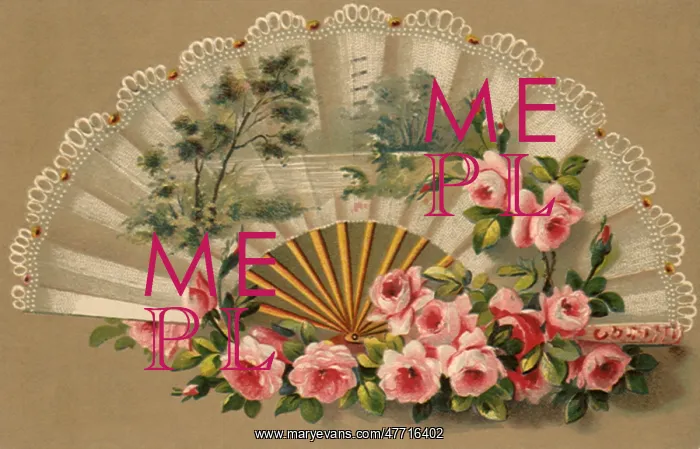  : Fan and Roses