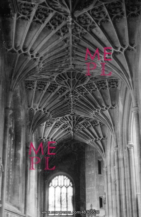 : Fan vaulting at Bath Abbey : Fan vaulting at Bath Abbey