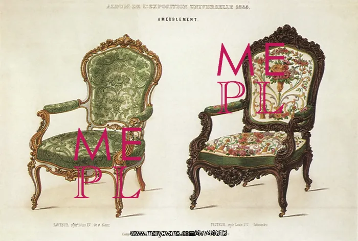 : Two Fancy Arm Chairs : Two Fancy Arm Chairs
