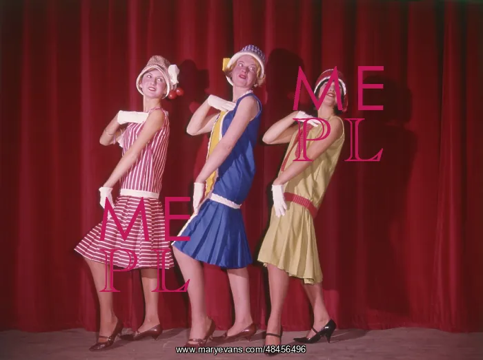 : FANCY DRESS 1920S STYLE : FANCY DRESS 1920S STYLE
