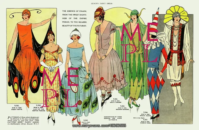 : Fancy dress : Fancy dress