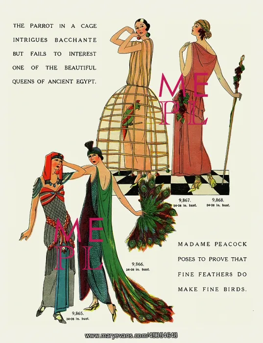  : Fancy dress
