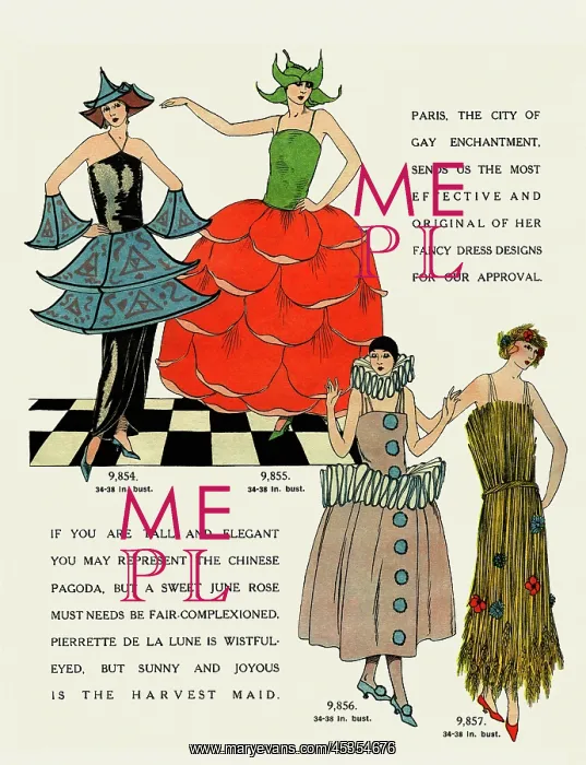 : Fancy dress : Fancy dress