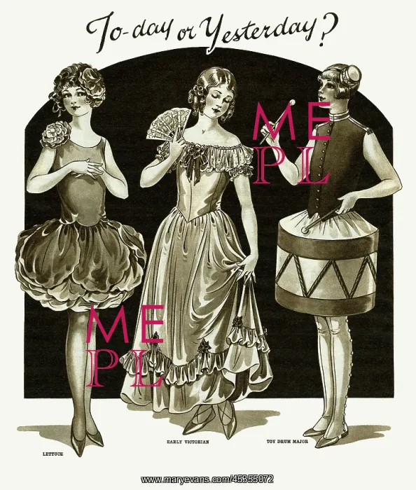 : Fancy dress : Fancy dress