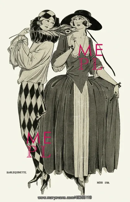 : Fancy dress : Fancy dress
