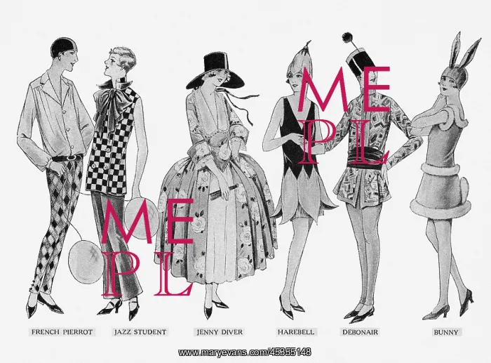 : Fancy dress : Fancy dress