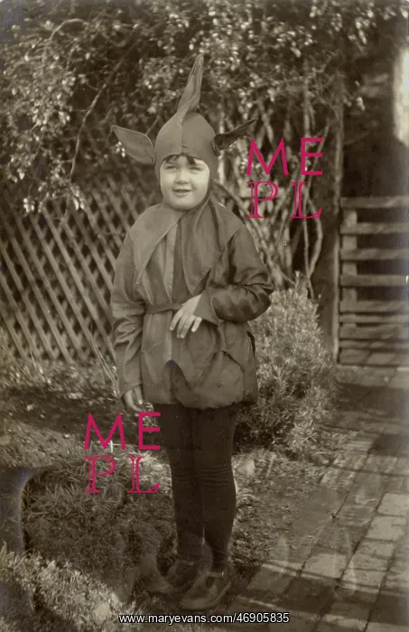 : Fancy dress - child in pixie costume : Fancy dress - child in pixie costume