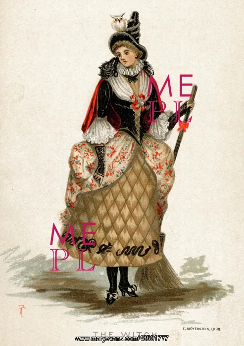  : Fancy dress costume, The Witch