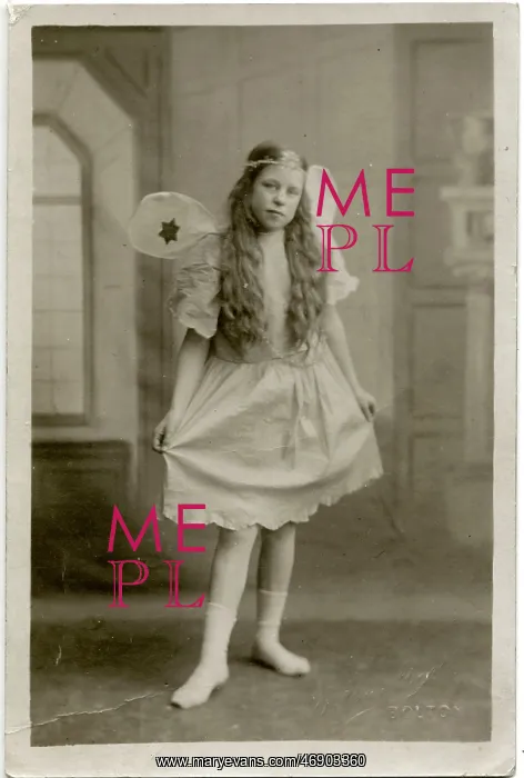 : Fancy Dress - fairy : Fancy Dress - fairy
