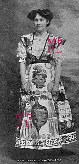 : A fancy dress queen of the vegetable kingdom : A fancy dress queen of the vegetable kingdom