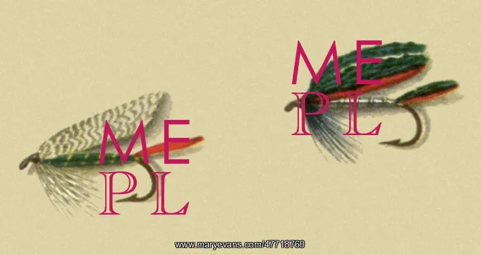  : Fancy English Lures