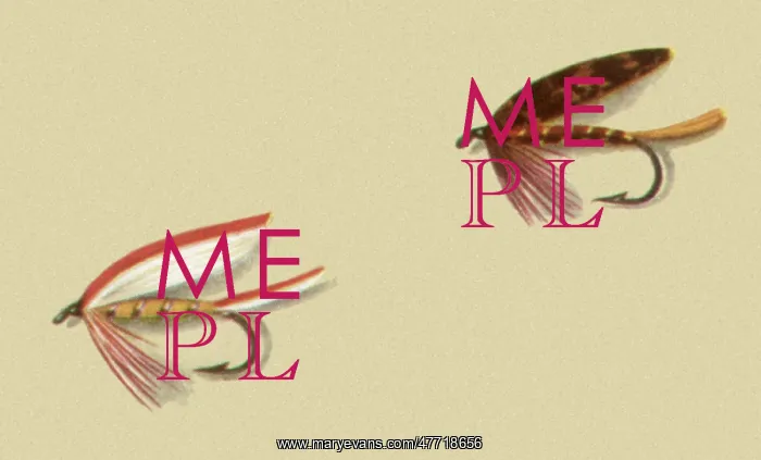  : Two Fancy Flies