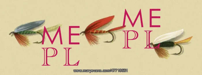  : Three Fancy Flies