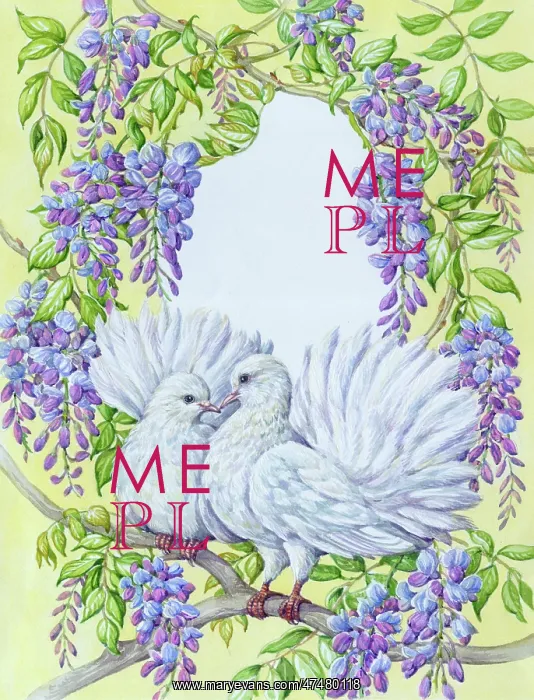  : Two Fantail Pigeons and Wisteria