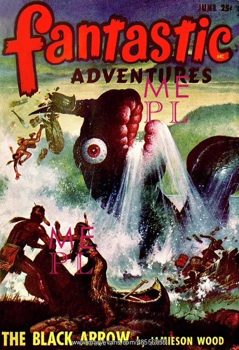 : Fantastic Adventures - The black Arrow : Fantastic Adventures - The black Arrow