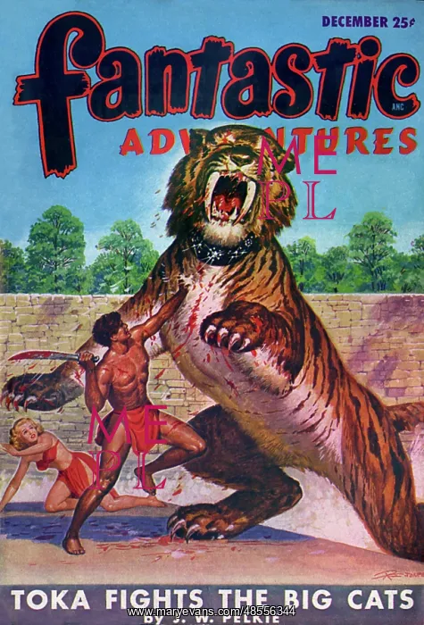  : Fantastic Adventures - Toka fights the big cats