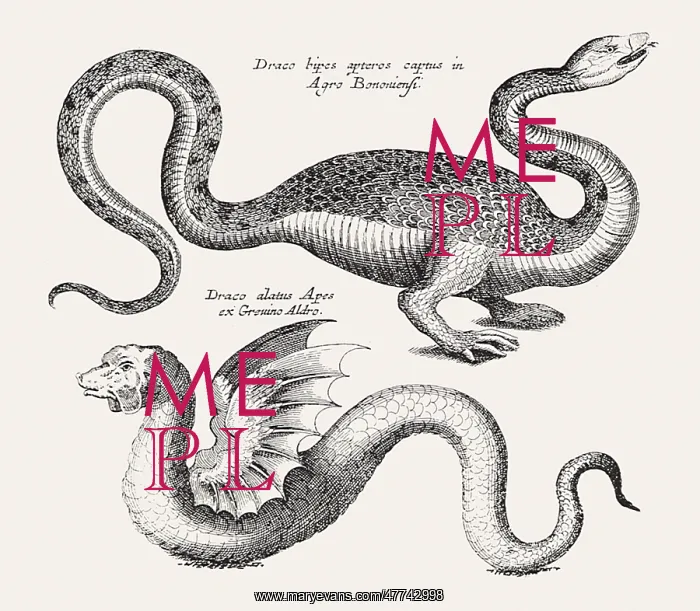  : Two Fantastic Dragons