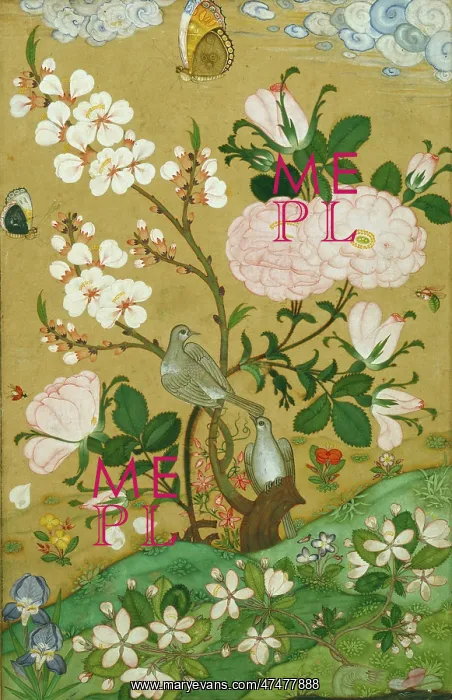 : A Fantasy of Fauna and Flowers : A Fantasy of Fauna and Flowers