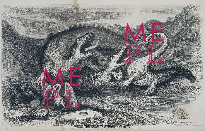 : A fantasy illustration of pre-historic reptiles : A fantasy illustration of pre-historic reptiles