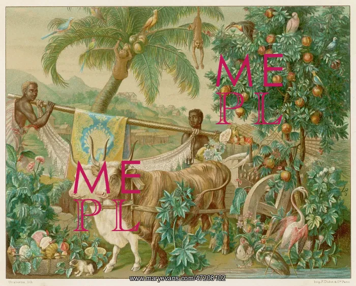 : FANTASY - THE INDIES : FANTASY - THE INDIES
