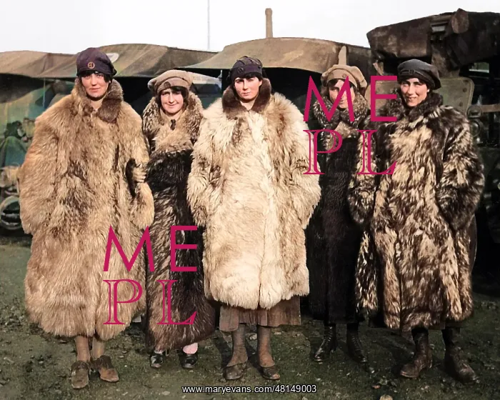 : FANY drivers in fur coats, Western Front, WW1 : FANY drivers in fur coats, Western Front, WW1