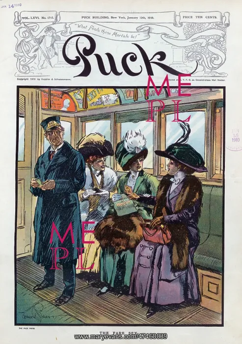 : The fare sex : The fare sex