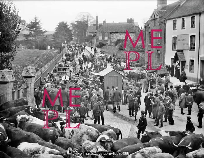 : Faringdon Cattle Market : Faringdon Cattle Market