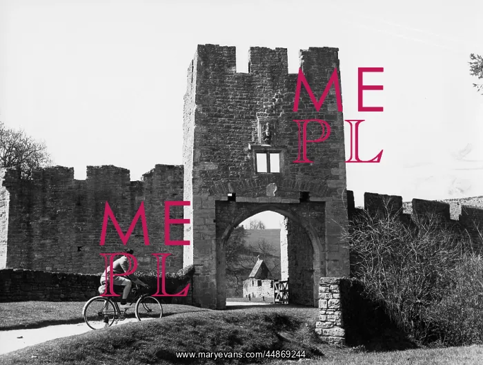 : FARLEIGH CASTLE GATE : FARLEIGH CASTLE GATE