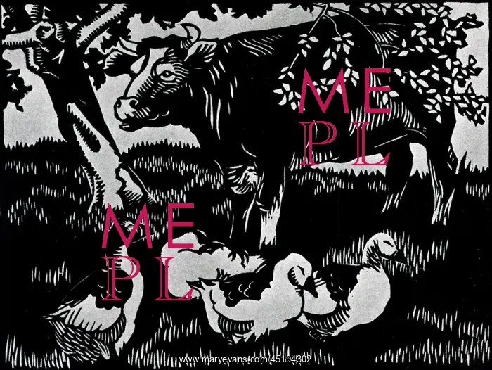 : Farm Animals : Farm Animals