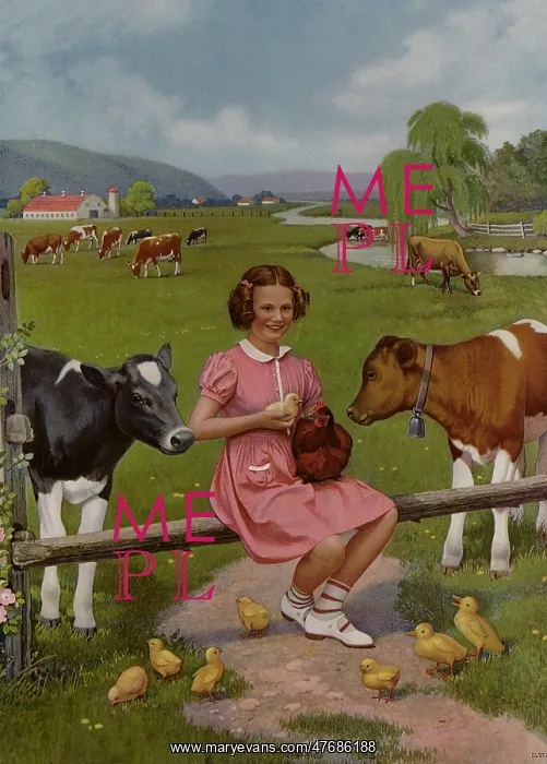  : Farm Animals