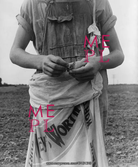 : Farm boy with sack full of boll weevils which he has picked : Farm boy with sack full of boll weevils which he has picked