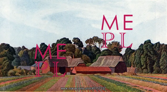 : Farm at Holdenhurst, Hampshire : Farm at Holdenhurst, Hampshire