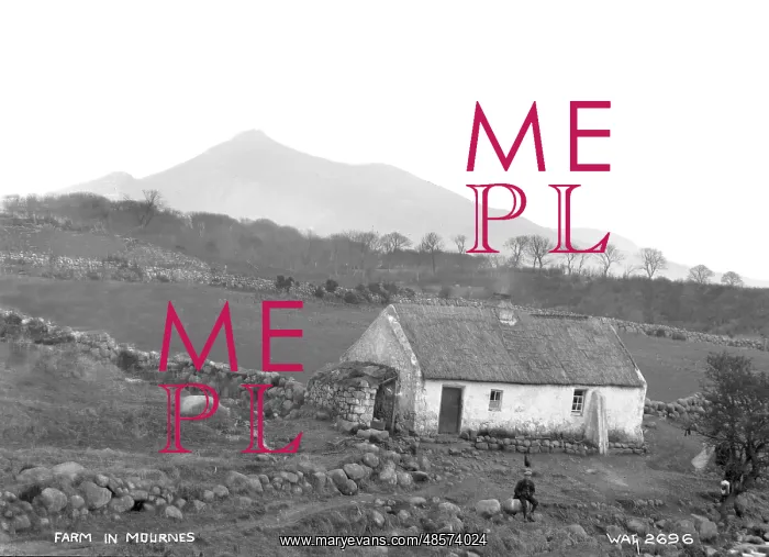 : Farm in the Mournes : Farm in the Mournes