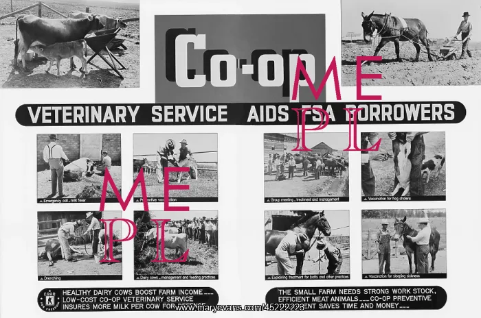 : Farm Security Administration poster promoting ? : Farm Security Administration poster promoting ?