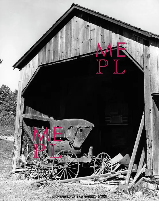  : Farm Shed With Old Buggy