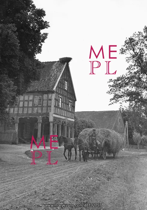 : Farm in West Prussia, 1942 : Farm in West Prussia, 1942