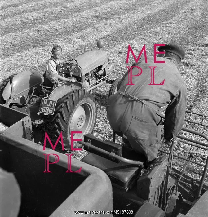 : Farm Worker : Farm Worker