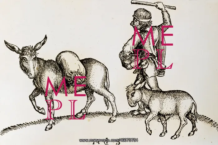 : Farm worker driving donkey to mill : Farm worker driving donkey to mill