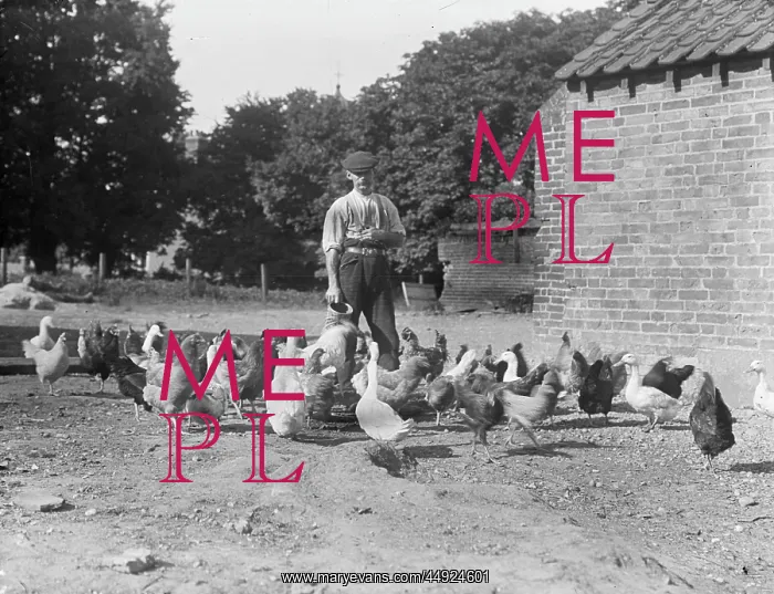 : Farm Workers - Gentleman feeding birds : Farm Workers - Gentleman feeding birds
