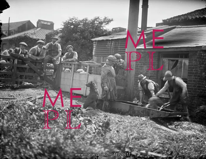 : Farm Workers - Gentlemen dipping'? : Farm Workers - Gentlemen dipping'?