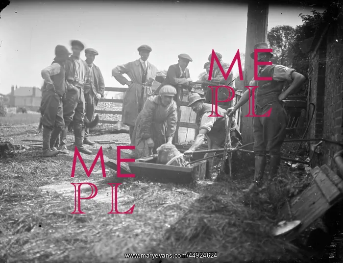 : Farm Workers - Gentlemen dipping'? : Farm Workers - Gentlemen dipping'?