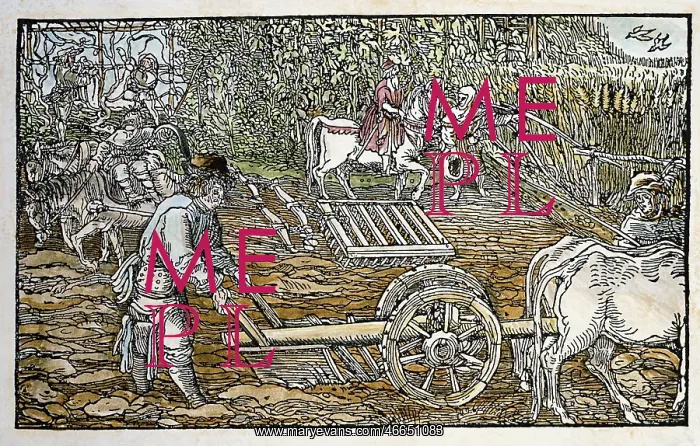 : Farm workers ploughing fields : Farm workers ploughing fields