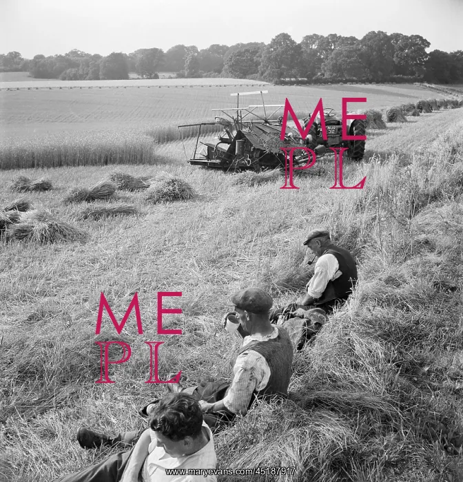 : Farm Workers Resting : Farm Workers Resting