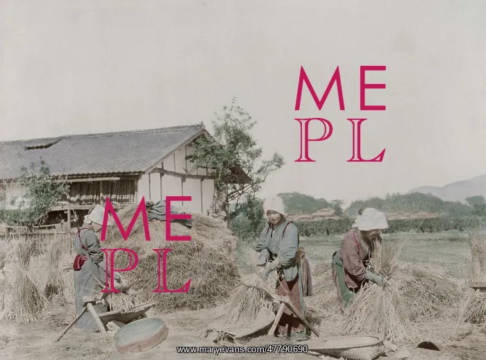 : Farm workers stripping grains of rice from straw, Japan : Farm workers stripping grains of rice from straw, Japan