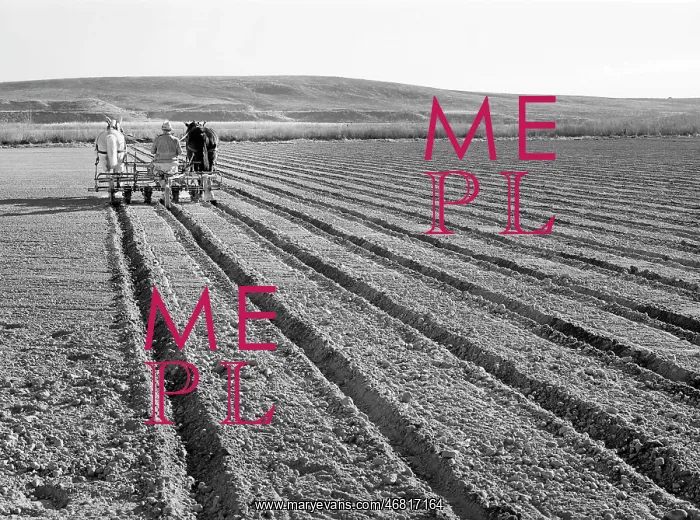: farmer - agriculture - occupations - Idaho : farmer - agriculture - occupations - Idaho